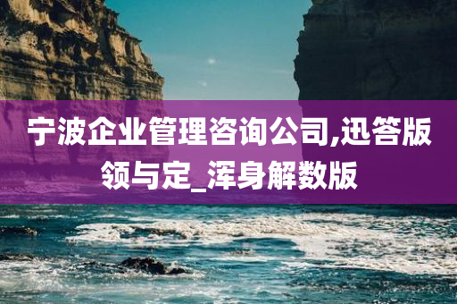 宁波企业管理咨询公司,迅答版领与定_浑身解数版