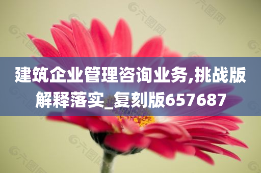 建筑企业管理咨询业务,挑战版解释落实_复刻版657687