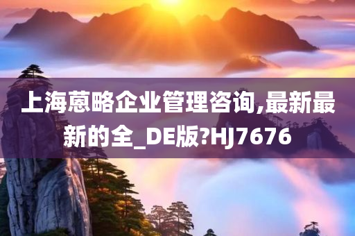 上海蒽略企业管理咨询,最新最新的全_DE版?HJ7676