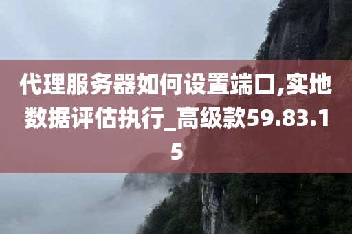 代理服务器如何设置端口,实地数据评估执行_高级款59.83.15