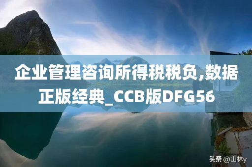 企业管理咨询所得税税负,数据正版经典_CCB版DFG56