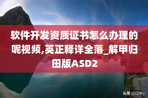 软件开发资质证书怎么办理的呢视频,英正释详全落_解甲归田版ASD2