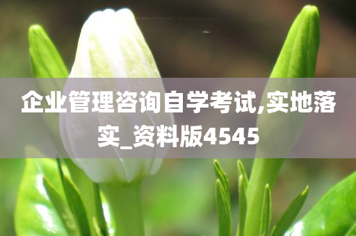 企业管理咨询自学考试,实地落实_资料版4545