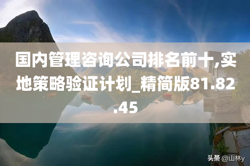 国内管理咨询公司排名前十,实地策略验证计划_精简版81.82.45