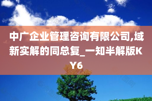 中广企业管理咨询有限公司,域新实解的同总复_一知半解版KY6