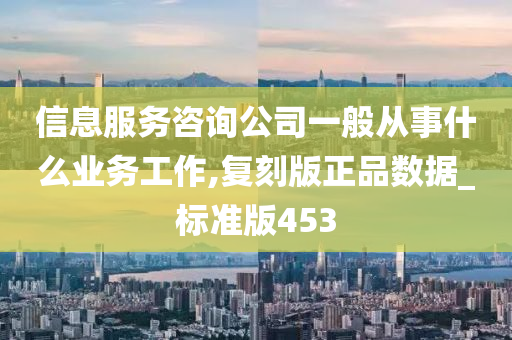 信息服务咨询公司一般从事什么业务工作,复刻版正品数据_标准版453