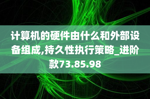 计算机的硬件由什么和外部设备组成,持久性执行策略_进阶款73.85.98