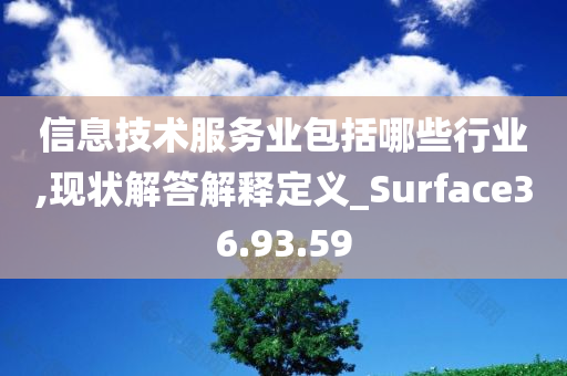 信息技术服务业包括哪些行业,现状解答解释定义_Surface36.93.59