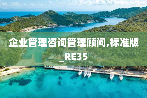 企业管理咨询管理顾问,标准版_RE35