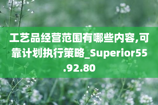 工艺品经营范围有哪些内容,可靠计划执行策略_Superior55.92.80