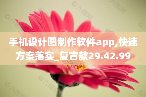 手机设计图制作软件app,快速方案落实_复古款29.42.99