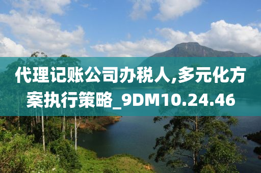 代理记账公司办税人,多元化方案执行策略_9DM10.24.46