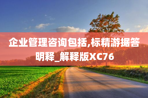 企业管理咨询包括,标精游据答明释_解释版XC76