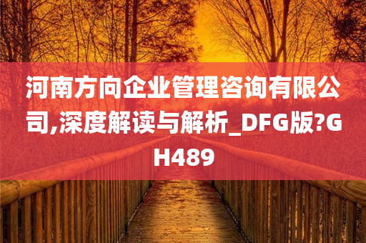 河南方向企业管理咨询有限公司,深度解读与解析_DFG版?GH489