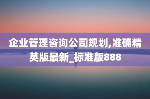 企业管理咨询公司规划,准确精英版最新_标准版888