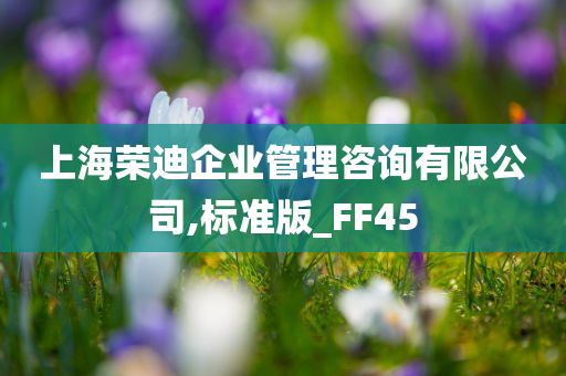 上海荣迪企业管理咨询有限公司,标准版_FF45