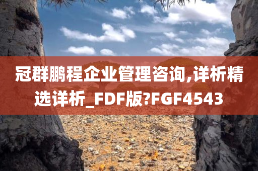 冠群鹏程企业管理咨询,详析精选详析_FDF版?FGF4543