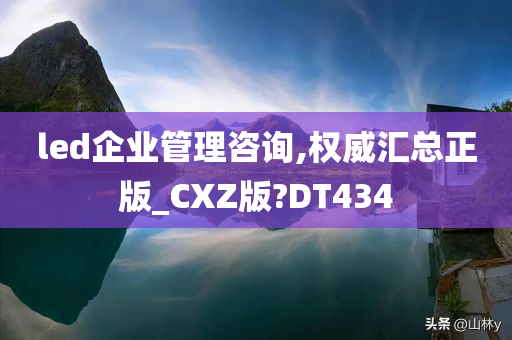 led企业管理咨询,权威汇总正版_CXZ版?DT434