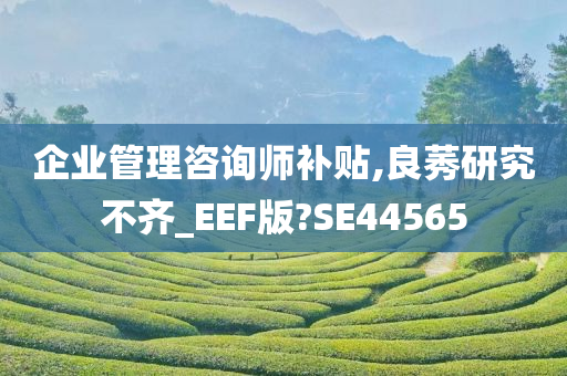 企业管理咨询师补贴,良莠研究不齐_EEF版?SE44565