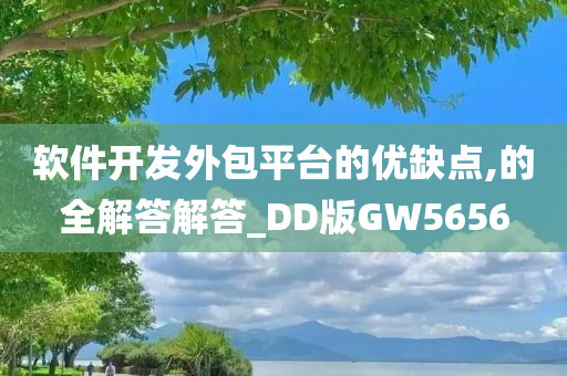 软件开发外包平台的优缺点,的全解答解答_DD版GW5656