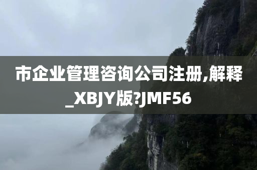 市企业管理咨询公司注册,解释_XBJY版?JMF56