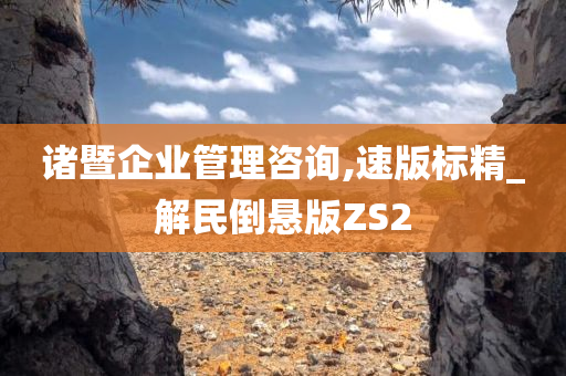 诸暨企业管理咨询,速版标精_解民倒悬版ZS2