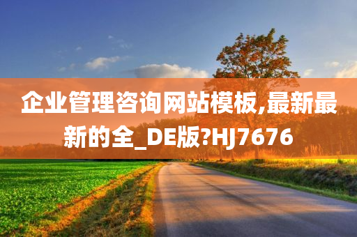 企业管理咨询网站模板,最新最新的全_DE版?HJ7676