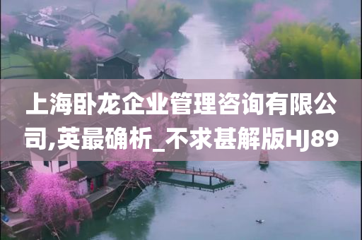 上海卧龙企业管理咨询有限公司,英最确析_不求甚解版HJ89