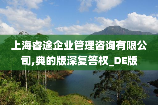 上海睿途企业管理咨询有限公司,典的版深复答权_DE版