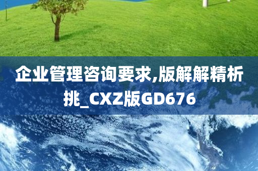 企业管理咨询要求,版解解精析挑_CXZ版GD676