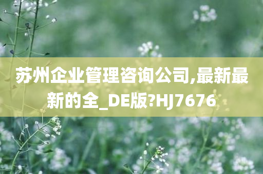 苏州企业管理咨询公司,最新最新的全_DE版?HJ7676