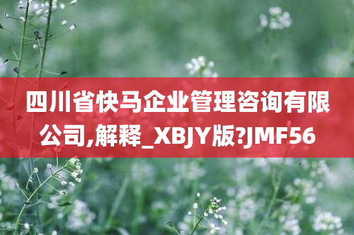 四川省快马企业管理咨询有限公司,解释_XBJY版?JMF56