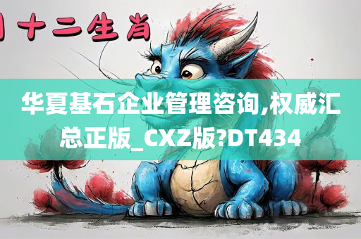 华夏基石企业管理咨询,权威汇总正版_CXZ版?DT434