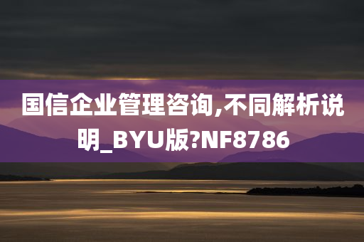 国信企业管理咨询,不同解析说明_BYU版?NF8786