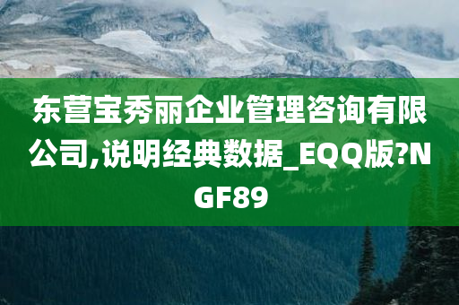 东营宝秀丽企业管理咨询有限公司,说明经典数据_EQQ版?NGF89