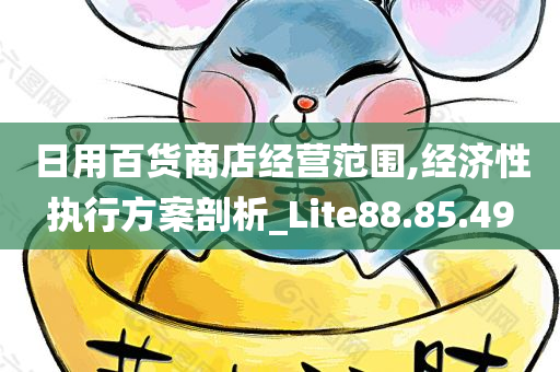 日用百货商店经营范围,经济性执行方案剖析_Lite88.85.49