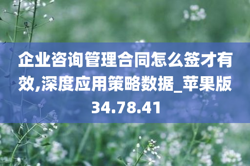 企业咨询管理合同怎么签才有效,深度应用策略数据_苹果版34.78.41