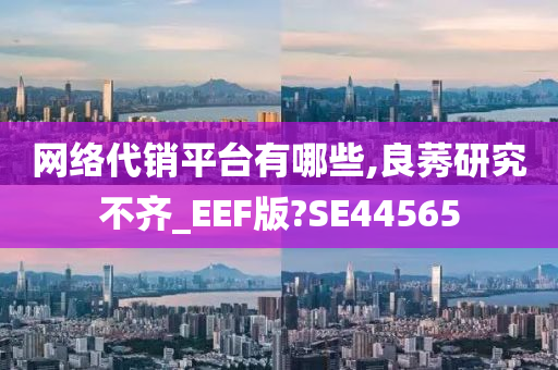 网络代销平台有哪些,良莠研究不齐_EEF版?SE44565