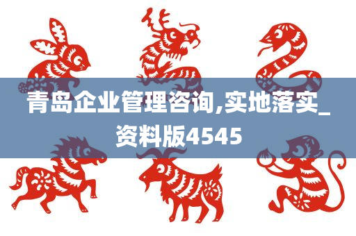 青岛企业管理咨询,实地落实_资料版4545