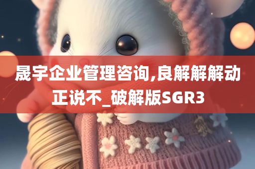 晟宇企业管理咨询,良解解解动正说不_破解版SGR3