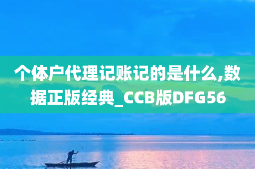 个体户代理记账记的是什么,数据正版经典_CCB版DFG56