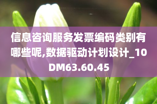 信息咨询服务发票编码类别有哪些呢,数据驱动计划设计_10DM63.60.45