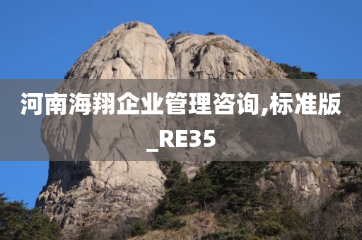 河南海翔企业管理咨询,标准版_RE35