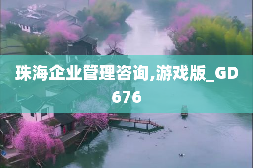 珠海企业管理咨询,游戏版_GD676