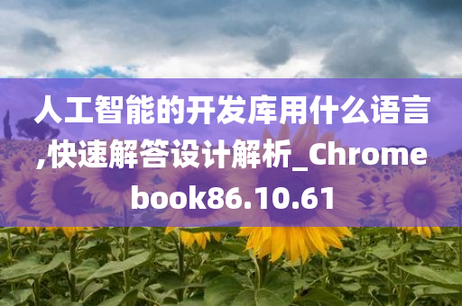 人工智能的开发库用什么语言,快速解答设计解析_Chromebook86.10.61