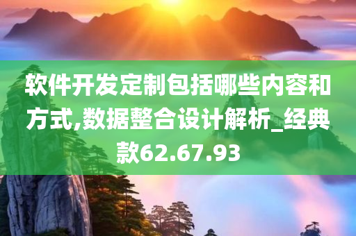 软件开发定制包括哪些内容和方式,数据整合设计解析_经典款62.67.93