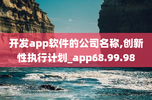 开发app软件的公司名称,创新性执行计划_app68.99.98