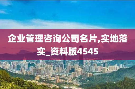 企业管理咨询公司名片,实地落实_资料版4545