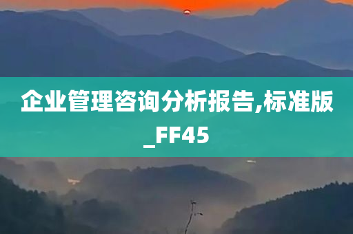 企业管理咨询分析报告,标准版_FF45