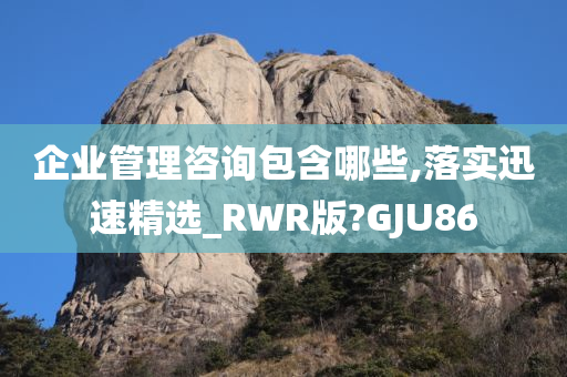 企业管理咨询包含哪些,落实迅速精选_RWR版?GJU86